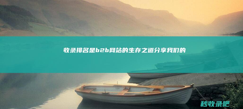 收录排名是b2b网站的生存之道：分享我们的成功经验