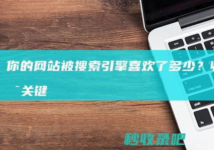 你的网站被搜索引擎喜欢了多少？收录量是关键