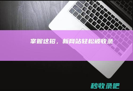 掌握这招，新网站轻松被收录