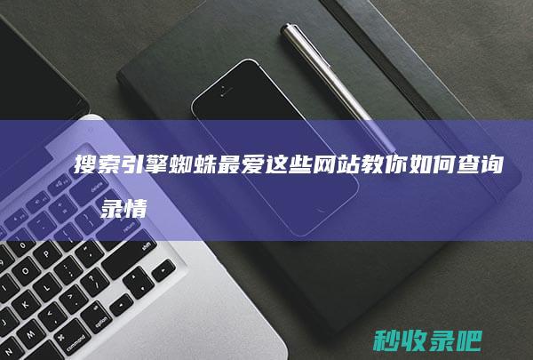 搜索引擎蜘蛛最爱这些网站！教你如何查询收录情况