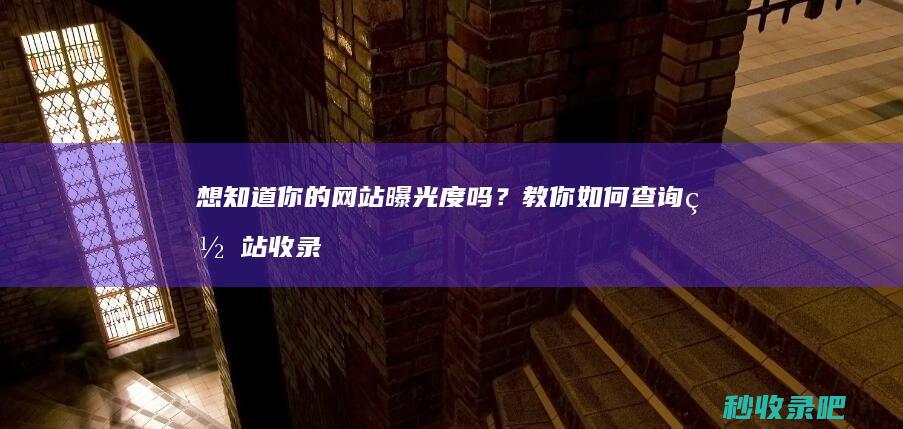 想知道你的网站曝光度吗？教你如何查询网站收录情况！