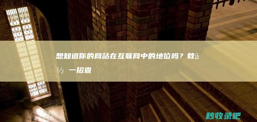 想知道你的网站在互联网中的地位吗？教你一招查询网站的收录情况！