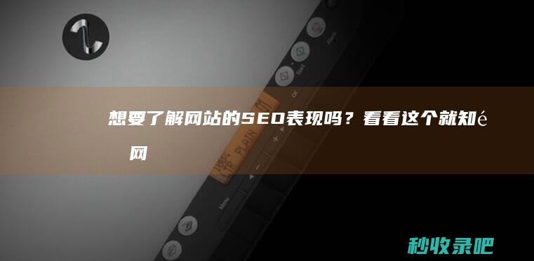 想要了解网站的SEO表现吗？看看这个就知道网站的收录情况了！