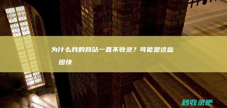 为什么我的网站一直不收录？可能是这些原因！快来看看吧！