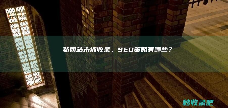 新网站未被收录，SEO策略有哪些？