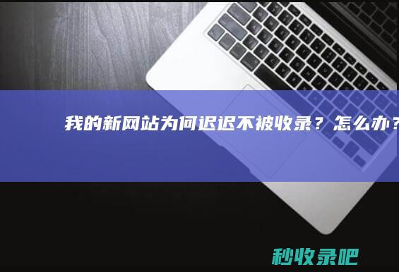 我的新网站为何迟迟不被收录？怎么办？