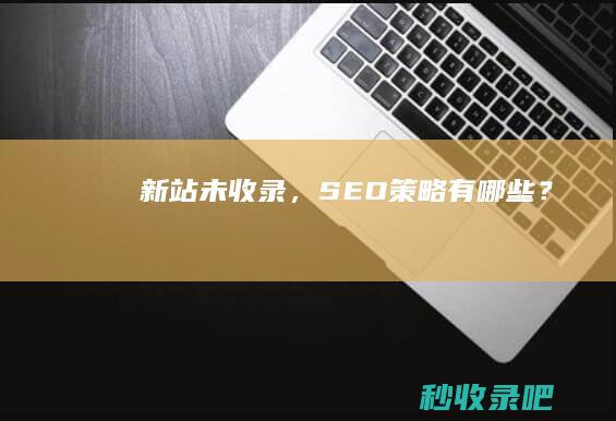 新站未收录，SEO策略有哪些？