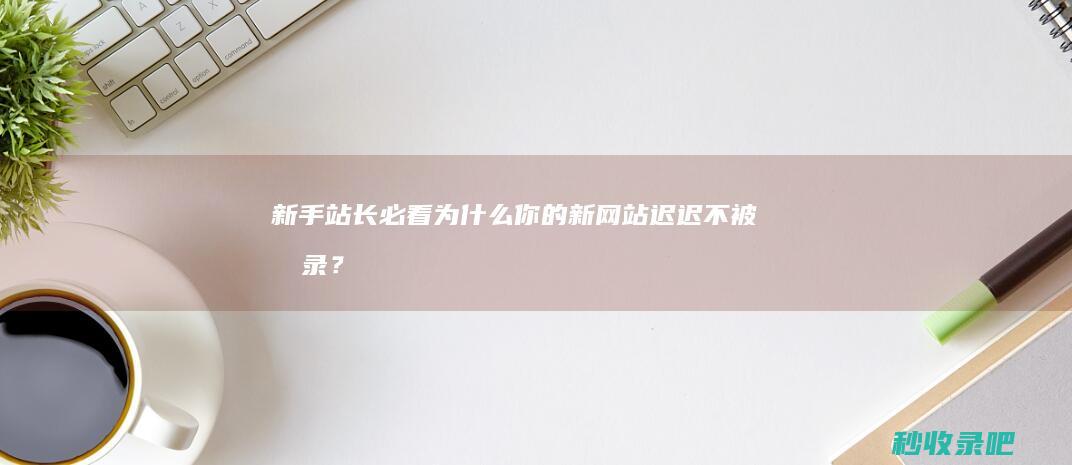 新手站长必看：为什么你的新网站迟迟不被收录？