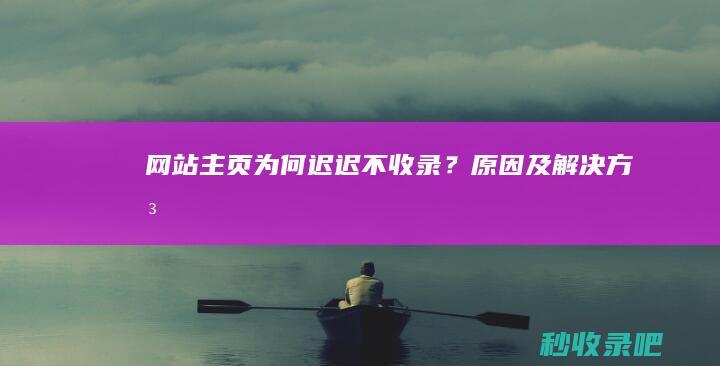 网站主页为何迟迟不收录？原因及解决方法！