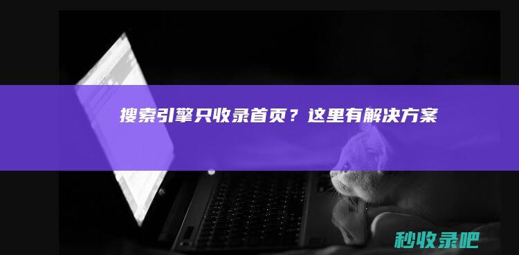 搜索引擎只收录首页？这里有解决方案！