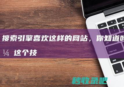 搜索引擎喜欢这样的网站，你知道吗？学会这个技巧，收录量蹭蹭上涨