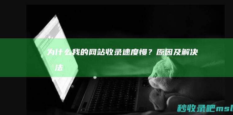 为什么我的网站收录速度慢？原因及解决方法