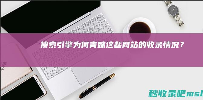 搜索引擎为何青睐这些网站的收录情况？