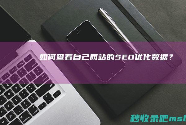 如何查看自己网站的SEO优化数据？