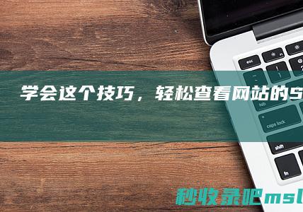 学会这个技巧，轻松查看网站的SEO诊断报告！看你的网站优化得怎么样！