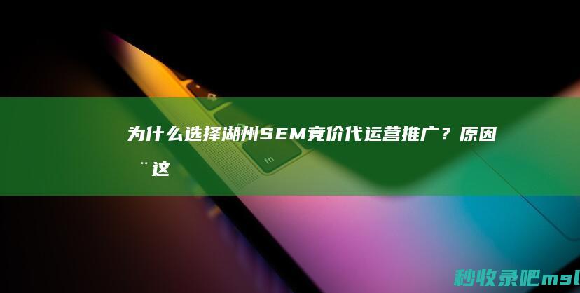 为什么选择湖州SEM竞价代运营推广？原因在这里！