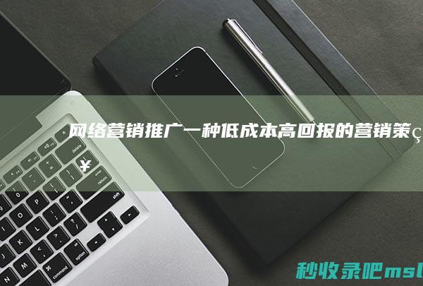 网络营销推广一种低成本高回报的营销策略