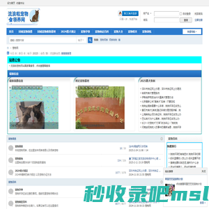 国家备案的宠物领养网-浪啦宠物领养网 -