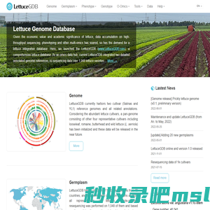 Lettuce Genome Database