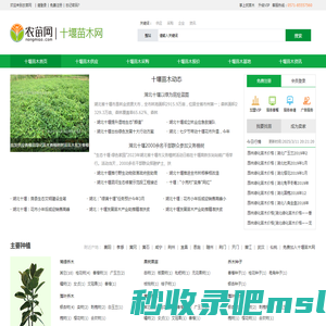 十堰苗木_十堰苗木基地_3月十堰苗木价格_十堰苗木网-农苗网