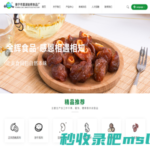 休闲食品生产厂家_提供陈皮应子,西梅蜜饯坚果糖果产品定制与批发_普宁市里湖金辉食品厂