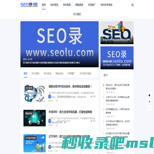 SEO_网站优化_SEO优化公司_关键词排名_谷歌推广_seo快速排名_SEO录优化网