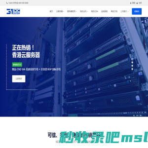 31IDC - 专业的香港云服务器_云主机_VPS_服务器租用提供商！