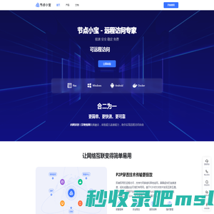 节点小宝免费远程访问工具