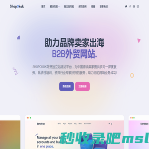 外贸建站,跨境电商独立站建站,外贸网站建设,Shopokok