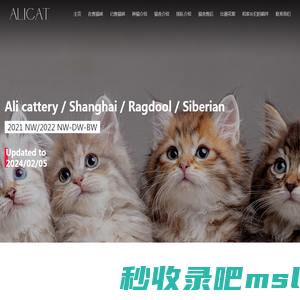 阿狸猫舍-Ali cattery