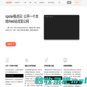 cpolar官网-安全的内网穿透工具 | 无需公网ip | 远程访问 | 搭建网站