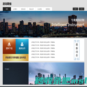 游龙网络