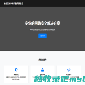 安徽云析未来科技有限公司 - 专业网络安全服务提供商
