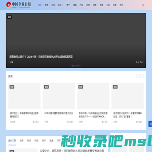 中国企业日报