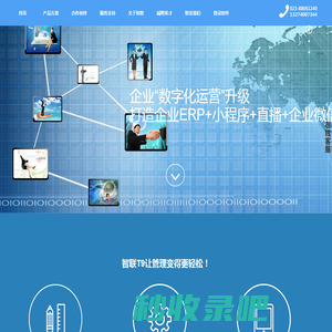 智联软件-手机销售管理的完美解决方案-通信行业信息化管理领航者