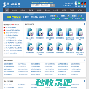管理软件系统网(SAAS云平台) - 德尔普软件