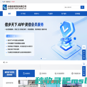 中国信保资信有限公司