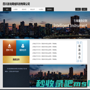 四川游龙网络科技有限公司