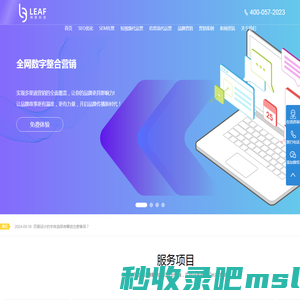 上海SEO网站优化-SEM竞价托管-短视频代运营-上海俐麸科技