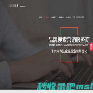 乐趣SEO - 品牌搜索营销，十六年专注企业搜索引擎优化