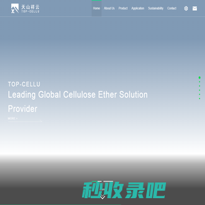 Xinjiang Top-Cellu Polymer Materials Co., Ltd.