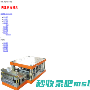 天津东方模具有限责任公司