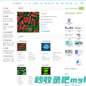 生物风-销售载体，基因，质粒，ATCC细胞，ATCC菌株等,欢迎购买-百风生物