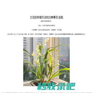 老玩家应用商店_提供精品游戏软件app下载资源_最新最全的绿色资源下载基地