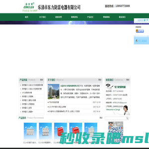 乐清市东力防雷电器有限公司
