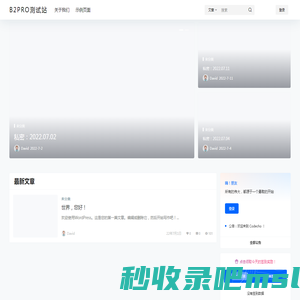 Codecho – 又一个WordPress站点