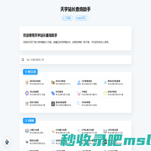天宇站长查询助手