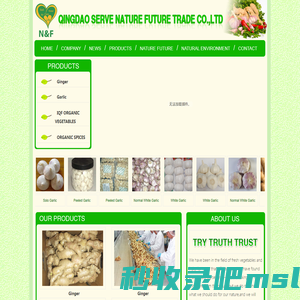 QINGDAO SERVE NATURE FUTURE TRADE CO.,LTD|Ginger|Garlic|