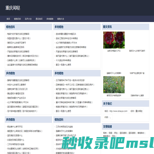 重庆闻哒网络信息咨询有限公司