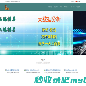 SEO_快速排名_网站优化_网络推广_seo优化 - 老羚羊软件